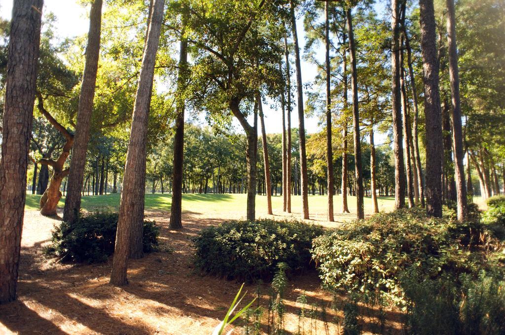 Hotel Pawleys Plantation Golf & Country Club Pawleys Island Esterno foto