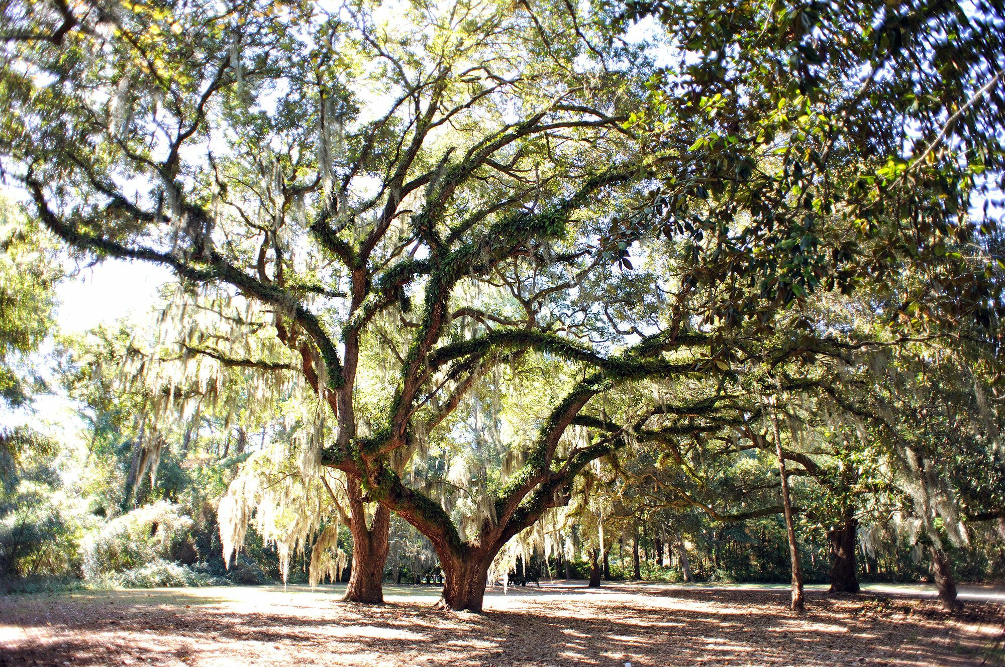 Hotel Pawleys Plantation Golf & Country Club Pawleys Island Esterno foto